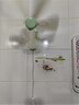 中聯(lián)電風(fēng)扇迷你微風(fēng)扇小風(fēng)扇小電扇臺(tái)扇夾扇壁扇靜音家用辦公室工業(yè)學(xué)生宿舍床頭蚊帳安全節(jié)能大風(fēng)力 綠色+開關(guān)線 曬單實(shí)拍圖