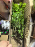 食用玫瑰花苗大馬士革玫瑰平陰玫瑰月季花苗四季開花濃香盆載植物 玫瑰3年苗【可食用】 曬單實(shí)拍圖