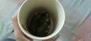 可愛奶酪飛機小狗陶瓷杯馬克杯咖啡杯生日禮物（單杯不含盒） 小狗杯隨機發(fā)貨 1個 350ml 曬單實拍圖