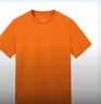 太平鳥(niǎo)男裝 夏短袖T恤黃色橙色男干爽面料純色簡(jiǎn)約短袖 橘色（合體）干爽面料 M 曬單實(shí)拍圖