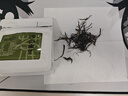 固山下正宗普洱茶生茶云南茶葉特制布朗生普洱茶上等生普洱散茶袋裝解膩 【嘗鮮試飲裝】30g/袋 曬單實(shí)拍圖