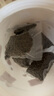愛肯拿（ACANA）貓糧 牧場盛宴成貓幼貓糧 高蛋白無谷進口雞肉糧1.8kg效期26/4 曬單實拍圖