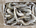 萬景 北海鮮凍白蝦 國產(chǎn)白蝦 單凍無冰凈重4斤 100-120只 燒烤聚餐  曬單實拍圖