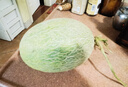 京鮮生 哈密瓜西州蜜25號 凈重7-8斤2-4粒裝 源頭直發(fā)包郵 曬單實拍圖
