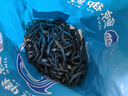 小魚干 公干魚海燕魚 自制風(fēng)干海鮮干貨 500g 曬單實(shí)拍圖