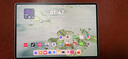 HUAWEI MatePad Pro 12.2英寸 2025 柔光版 國家補(bǔ)貼華為平板電腦雙層OLED柔光屏WIFI 12GB+256GB飛天青  曬單實(shí)拍圖