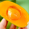 攀枝花椰香芒攀研二號(hào)當(dāng)季新鮮芒果熱帶水果 5斤特大果（10個(gè)以內(nèi)） 曬單實(shí)拍圖
