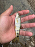 熊火靈汐小物釣魚竿迷你便攜溪流短節(jié)手竿釣鳑鲏魚竿套裝 2.1m46調(diào)極光紫小物竿+線組+餌料 曬單實拍圖