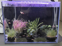 方小章第2代背濾魚(yú)缸超白玻璃水族箱中小型全套家用生態(tài)魚(yú)缸桌面金魚(yú)缸 BL400黑色2代-標(biāo)配+蓋 曬單實(shí)拍圖