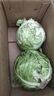 新鮮甘藍(lán)包菜卷心菜新鮮嫩綠蓮花白現(xiàn)摘現(xiàn)發(fā)早餐減脂 新鮮包菜 1斤 人工挑揀 曬單實(shí)拍圖