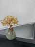 GUYN新品黃水晶發(fā)財樹(shù)樹(shù)擺件居家辦公桌面擺飾茶桌清新復古小禮物 黃水晶 曬單實(shí)拍圖