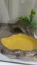 BARBAROUS GROWTH樹脂爬寵飼養(yǎng)箱造景爬寵喂食盆水龜寄居蟹泡澡盆守宮蜥蜴角蛙食盤 水盆小號【防摔 容量大】 曬單實拍圖
