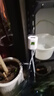 漫德萊自動澆花器家用室內(nèi)懶人智能定時澆水器辦公室綠植滴灌神器8 曬單實(shí)拍圖