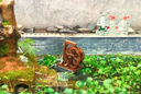魔都風(fēng)水輪水車擺件流水魚池假山水車大中小型水車木制防腐木假山噴泉 直徑80厘米(咨詢我 現(xiàn)貨) 曬單實(shí)拍圖