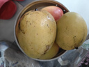 琪江果云南新鮮澳芒 應(yīng)季蘋(píng)果芒熱帶甜心芒果水果整箱 澳芒4.5-5斤單果150g+ 曬單實(shí)拍圖