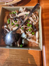 佳幫手密封罐五谷雜糧收納盒食品級(jí)零食干貨茶葉儲(chǔ)物罐460ml 3只裝 曬單實(shí)拍圖