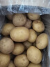 河南25年新鮮黃皮黃心土豆現挖現發(fā)生鮮馬鈴薯洋芋軟糯香甜特產(chǎn) 5.2斤 （凈重） 大果 曬單實(shí)拍圖