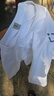 名創(chuàng  )優(yōu)品（MINISO）基礎款logo笑臉短袖男夏季簡(jiǎn)約百搭純棉圓領(lǐng)男生大碼寬松休閑T恤 白色(m22淺灰笑臉胸標) S /165(品控嚴格) 曬單實(shí)拍圖