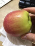 嘎啦蘋(píng)果新鮮水果當(dāng)季整箱9斤陜西紅富士脆甜冰糖丑青小平果包郵 凈重4.5斤（60-65mm） 曬單實(shí)拍圖