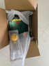 迎駕貢酒 迎駕洞藏9 濃香型白酒 52度 520ml*2瓶+125ml 禮盒裝 送禮佳選 曬單實拍圖