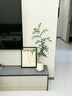 雅韻閣婀娜美人九里香盆栽辦公室內(nèi)花卉綠植盆景四季植物好養(yǎng)活老樁造型 婀娜美人九里香【藝術(shù)磨砂白陶】 帶盆栽好 曬單實(shí)拍圖