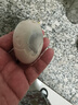 鄱湖鴨舍流油咸鴨蛋正宗鄱陽湖端午節(jié)熟鹽蛋起沙流油真空非海鴨蛋批發(fā)送禮 10枚*大號55-60g【特惠】 曬單實拍圖