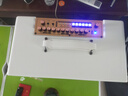 雅米塞爾K歌音箱彈唱直播電箱琴專用音響戶外便攜藍牙吉他音響電吹管薩克斯 5喇叭立體環(huán)繞+250瓦+2U段麥 曬單實拍圖