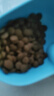 衛(wèi)仕膳食中大型犬糧 狗干糧 中大型犬全價(jià)狗糧 牛肉蔓越莓 15kg*1袋 曬單實(shí)拍圖