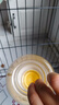 哲卜兔子飲水器倉鼠水壺兔子水壺飲水器喝水龍貓荷蘭豬滾珠喂水喂食器 滾珠飲水器-900ml【喝水不濕嘴】 曬單實拍圖