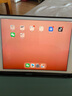 Apple蘋果 iPad Air1/Air2/Air3 迷你mini2/4/5 二手平板電腦ipad iPad mini5 64G WiFi版 95成新 曬單實拍圖