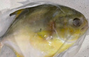 賣魚七郎 國(guó)產(chǎn)冷凍金鯧魚 3條裝 凈重2.7斤 海魚特大 生鮮魚類海鮮水產(chǎn) 曬單實(shí)拍圖