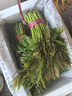香椿芽新鮮野生頭茬紅油嫩芽露天冷鏈現貨3斤當季野菜春芽香椿菜 優(yōu)選香椿芽3斤裝 曬單實(shí)拍圖