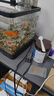 奈寵魚食小型魚飼料孔雀魚鳳尾魚燈科斗魚小型魚魚糧小顆粒微粒通用型 【新小型魚飼料0.4mm】65ml*2桶 曬單實拍圖