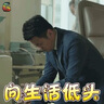 美姿底側(cè)柏葉洗發(fā)水中藥原漿人參生姜何首烏控油蓬松純植物天然孕婦可用 曬單實拍圖