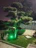 朋科 太陽能燈 照樹燈投射草坪燈超亮戶外公園景觀亮化專用插地射樹燈 50W  綠光  建議安裝樹高2米內(nèi) 曬單實(shí)拍圖