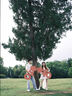 喜蝴蝶婚房布置雙喜字KT板結(jié)婚手拿大囍字?jǐn)[件落地訂婚婚禮拍照道具裝飾 【1米】可愛喜_KT板 曬單實(shí)拍圖