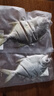 廣東正宗淡曬海魚金鯧魚魚干干貨海鮮小魚干干魚真空金鯧魚金倉魚 6條金鯧魚干（6-7成干）超值 150g-200g 曬單實拍圖