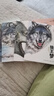沈石溪畫本動物小說·狼王夢（套裝共5冊）小學生四五六年級課外閱讀書籍 兒童文學經典讀物 課外閱讀課外書自主閱讀讀物省錢卡 曬單實拍圖