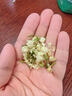 新貨茉莉花特級茉莉花干花苞批發(fā)茉莉花干花泡水濃香型茉莉花草茶 精選茉莉花50克 曬單實(shí)拍圖
