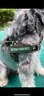 EZYDOG澳洲進(jìn)口秒穿舒適胸背大中小型犬防爆沖胸背帶嗨輕防掙脫柴犬邊牧 森林迷彩 S【體重7-15kg | 胸圍52-66cm】 曬單實(shí)拍圖