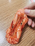 森農(nóng)樂九節(jié)蝦干即食特大對(duì)蝦干烤斑節(jié)蝦干舟山特產(chǎn)風(fēng)干海蝦干海鮮干貨 【特大九節(jié)蝦干 250g*2罐 】實(shí)惠 曬單實(shí)拍圖