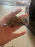 妍韻珠寶精品10x8mm星月菩提子手串虎眼石貔貅男女士款文玩佛珠手鏈108顆 曬單實(shí)拍圖