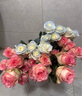 云南鮮花批發(fā)品質(zhì)玫瑰百合水養鮮切花送女友生日禮物源頭直發(fā) 艾莎（鐵頭公主）-20支 【任選2件—不收運費】 曬單實(shí)拍圖