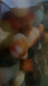 南京雨花石原石天然清倉鵝卵石石頭花盆魚缸裝飾彩石頭彩色小石子 1-2厘米（1斤60到80顆） 曬單實(shí)拍圖