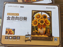 若物積木花DIY手工制作立體拼圖拼裝模型兒童生日禮物女孩 金色向日葵 曬單實拍圖