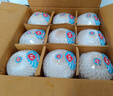 佳農(nóng) 泰國(guó)進(jìn)口椰青9粒裝 單果900g+ 贈(zèng)開(kāi)椰器吸管 生鮮水果 源頭直發(fā) 曬單實(shí)拍圖
