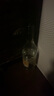 青梅酒超大容量750ml微醺低度12度女士果酒聚會派對酒 12度750mL1瓶青梅酒（晚安酒） 曬單實拍圖
