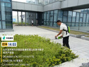 TOMSPOWER充電式綠籬機(jī)電動(dòng)修剪機(jī)托馬斯園林綠化剪茶葉背負(fù)式茶樹修粗枝機(jī) 雙刃24V重修款+20A(8.5小時(shí)) 曬單實(shí)拍圖