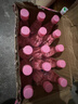 統(tǒng)一 海之言桃桃百香果500ml*15瓶整箱裝（原版和低糖交替發(fā)貨） 曬單實(shí)拍圖
