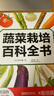 官網(wǎng) 蔬菜栽培百科全書 板木利隆 蔬菜種植溫室大棚蔬菜病蟲害圖譜與防治書栽培知識(shí)指南現(xiàn)代無公害蔬菜種植管理關(guān)鍵技術(shù)書 曬單實(shí)拍圖
